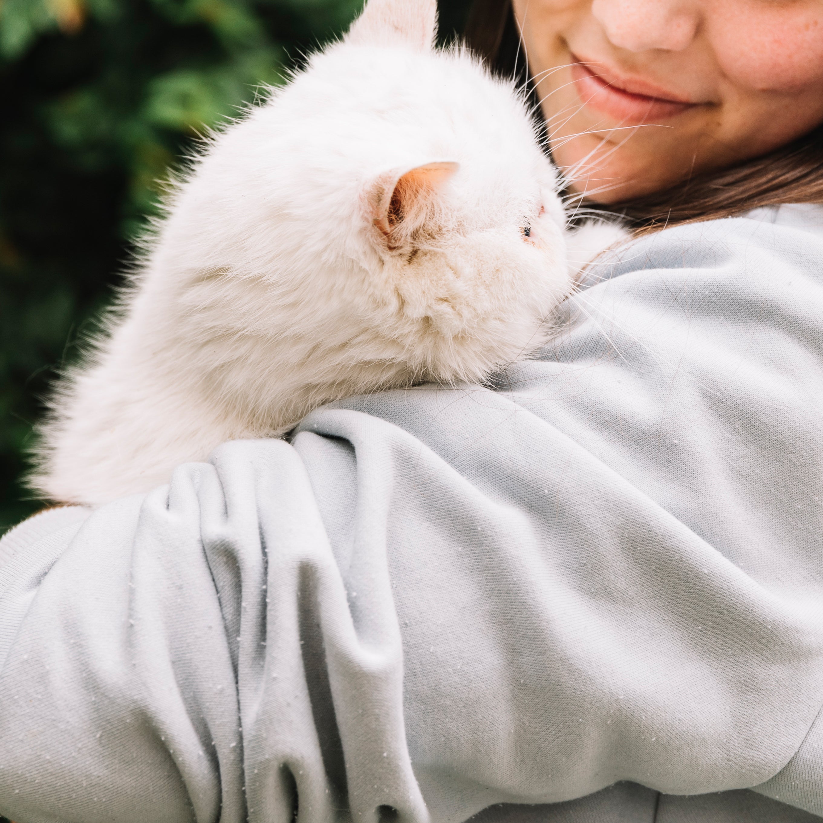 An image of a cat and its owner that demonstrates their strong bond. A good way to see how close you and your cat are.