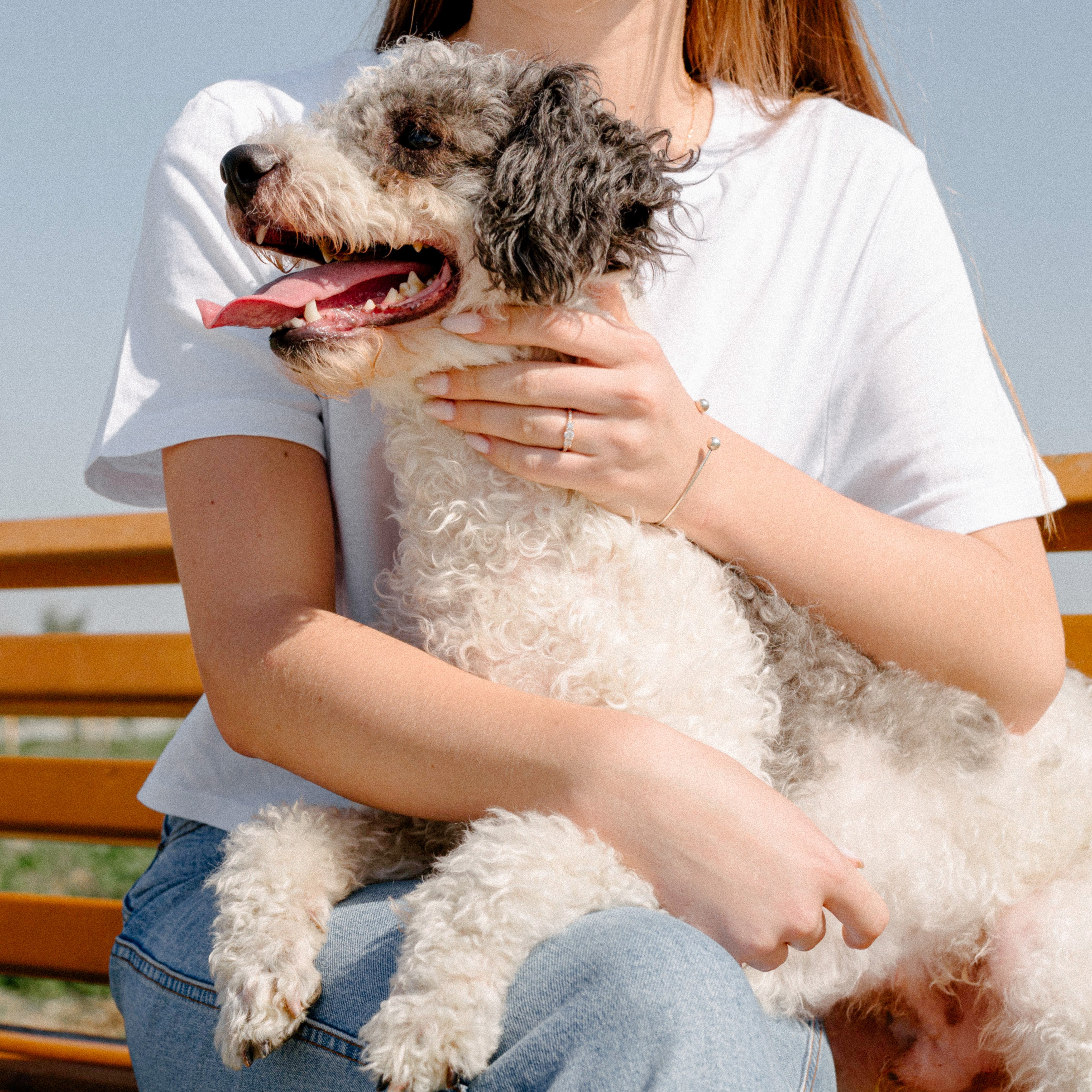 Woman holding a black and white, curly haired dog on her lap. They're sitting on a bench and the dog is smiling
