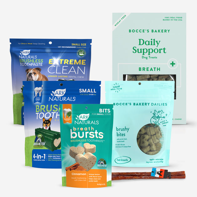 Antelope Dental Bundle