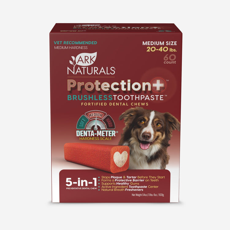 Protection+ Brushless Toothpaste Medium Value Pack (Secret Sale)