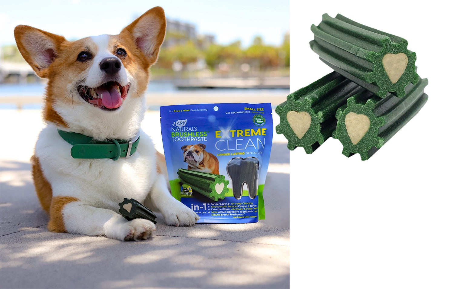 Best Dental Chews for Dogs 2026 Brushless Toothpaste Extreme Clean