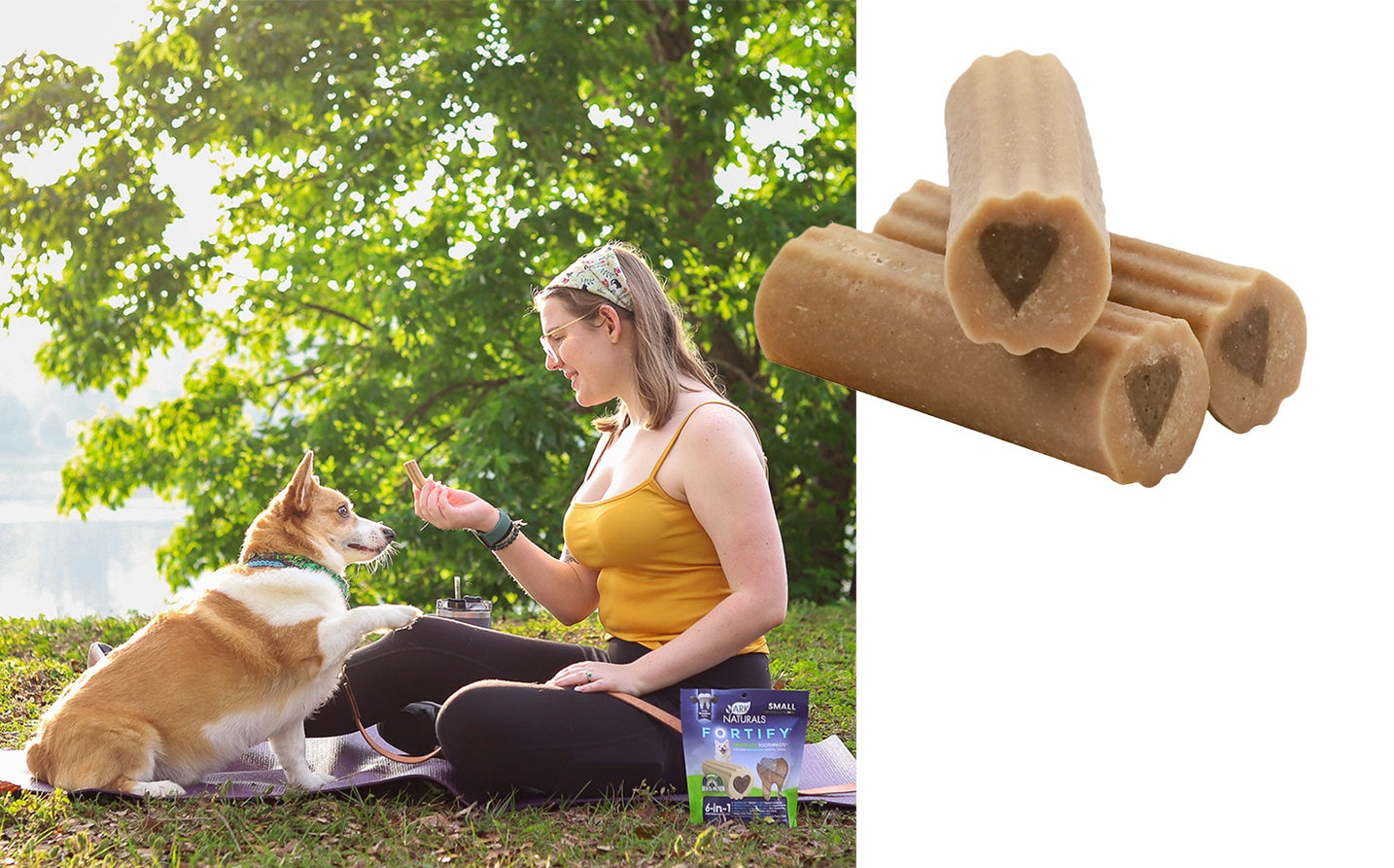 Ark Naturals Fortify Brushless Toothpaste