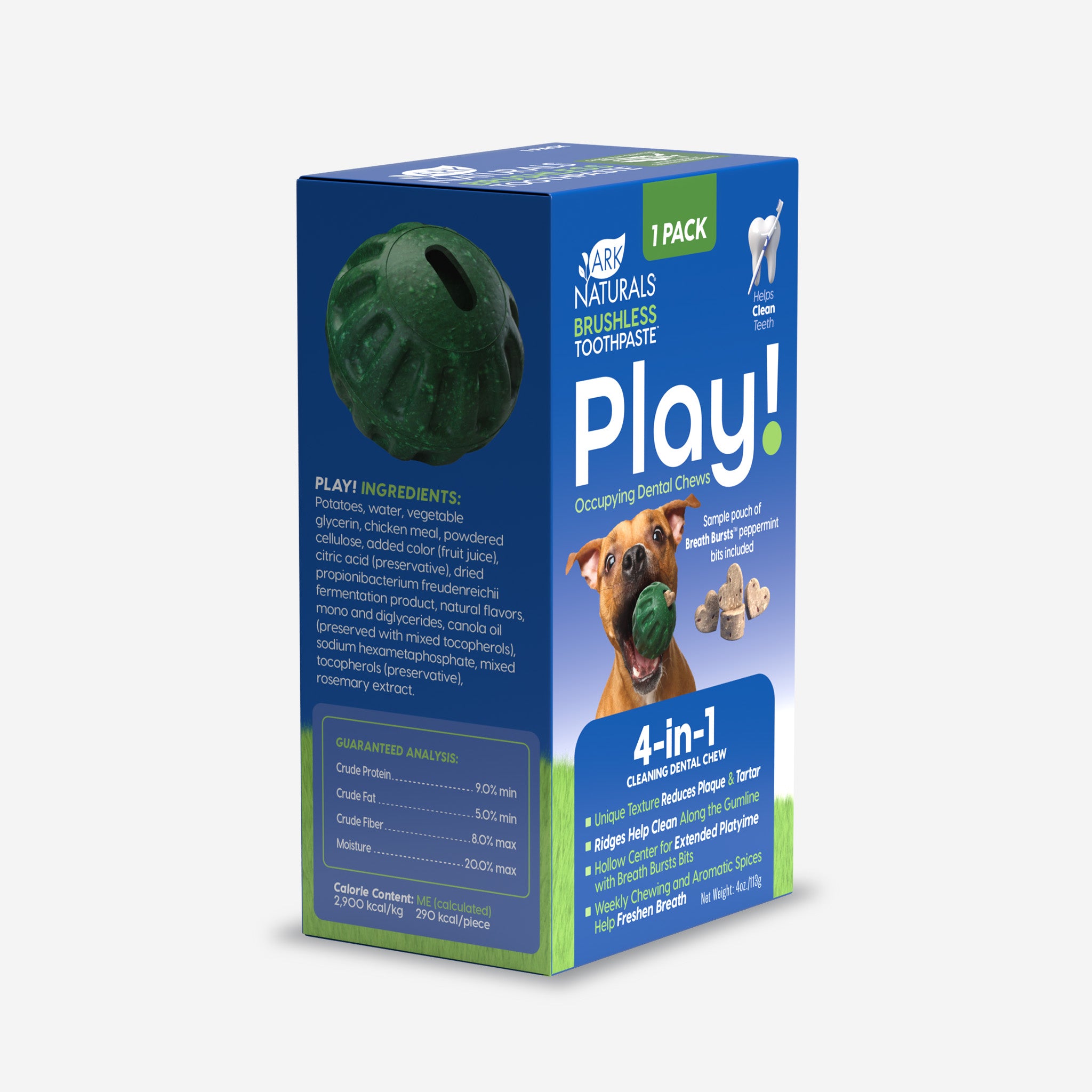 BrushlessToothpaste_Play__1Pac