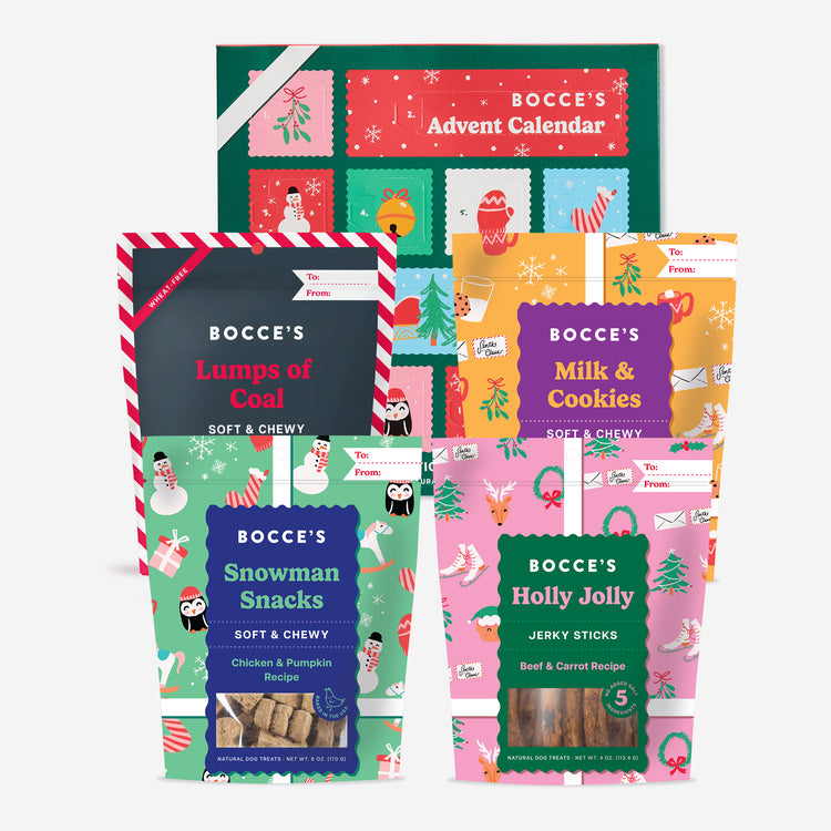 Everything But the Sleigh Dog Bundle