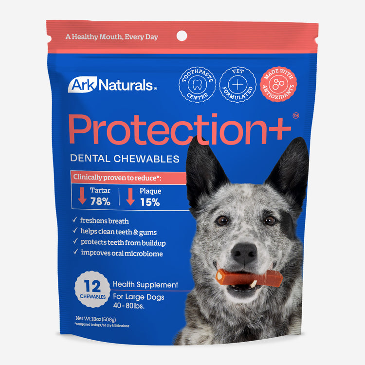 Ark Naturals Protection+ Brushless Toothpaste