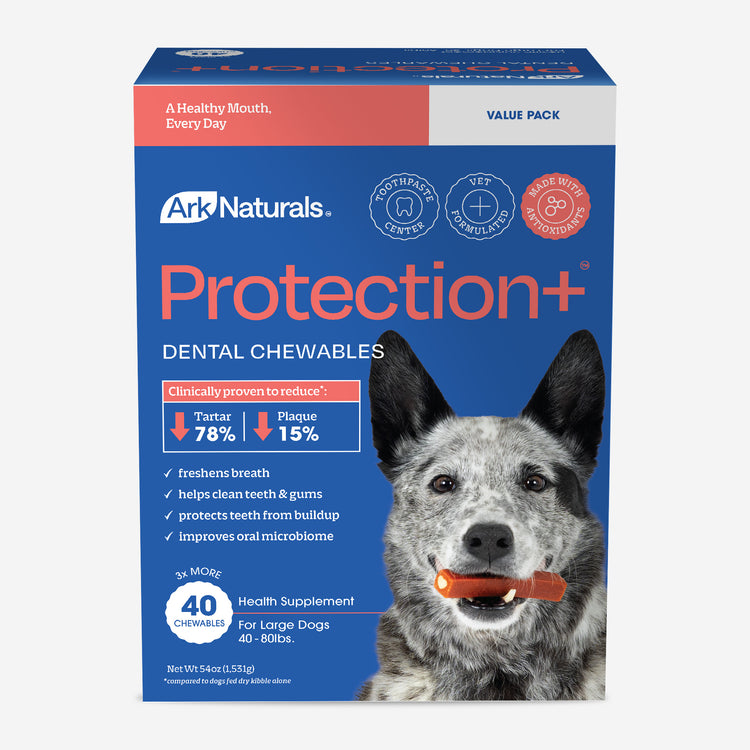 Ark Naturals Protection+ Brushless Toothpaste