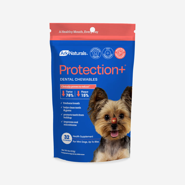 Ark Naturals Protection+ Brushless Toothpaste