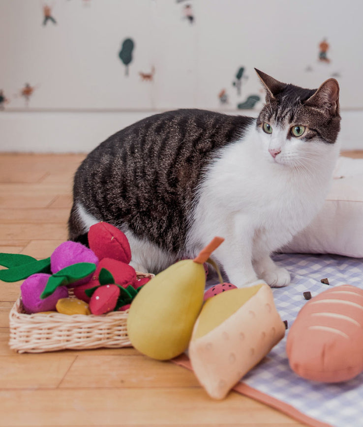 Shop All Bocce’s Treats